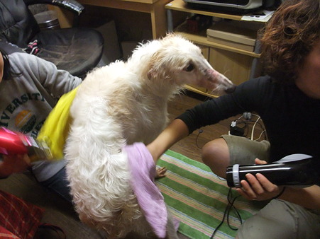 ドライヤー
