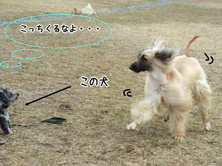 くるなよ・・・