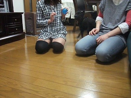 お姉ちゃんにボール投げしてもらい