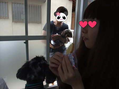 ラスクを食らう女