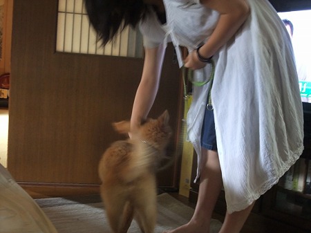 一緒に遊ぼうね