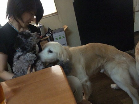 はじめまして