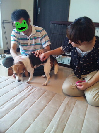 ママとパパ