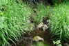 クリックで拡大 P1050886.jpg