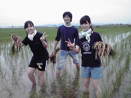 26日草取り(30)