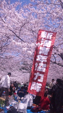 復興支援お花見大会 (7)