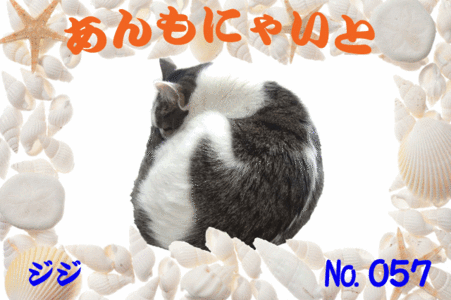 ジジちゃん大640×426