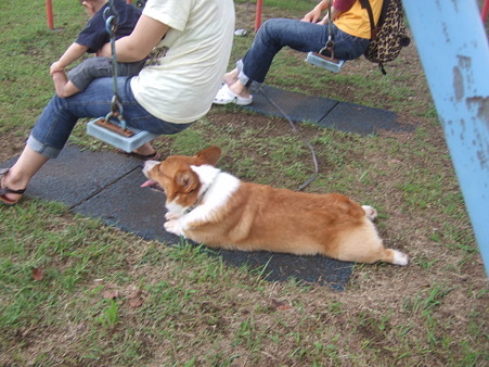 DSCF5724