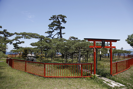 唐崎神社 - 03