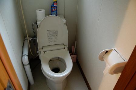 男性(大)