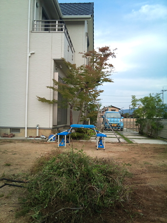 草むしり