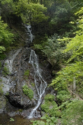 雨乞いの滝6
