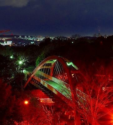弓の橋1-2