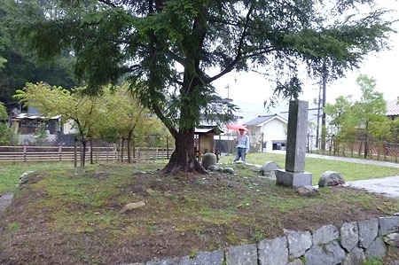 1104271654_P1750306