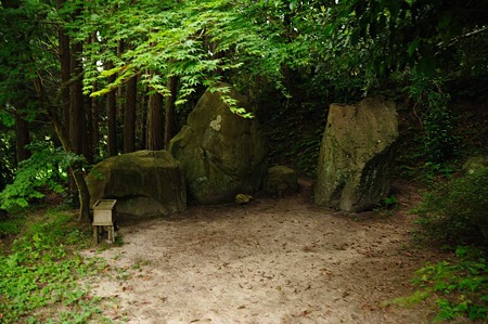 1106220644_DSC_0700