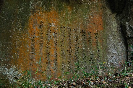 1001021042_DSC_6392