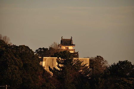 1001031639_DSC_8884