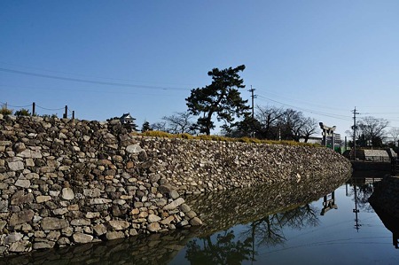 1001041000_DSC_9348