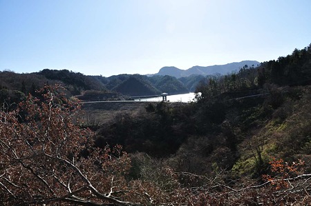 1001041325_DSC_9826