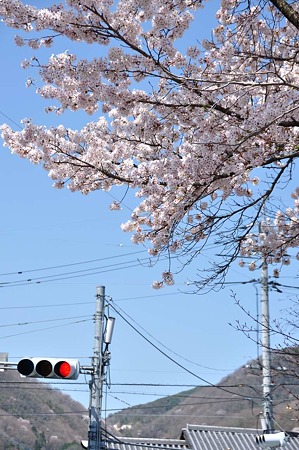 1004081058_DSC_1936