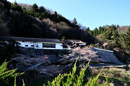 1004081515_DSC_2433