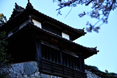 1004081556_DSC_2570