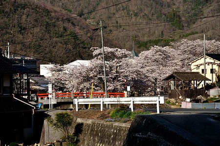 1004081637_DSC_2619