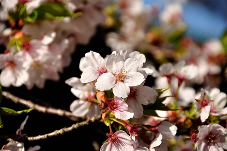 1004081640_DSC_2630