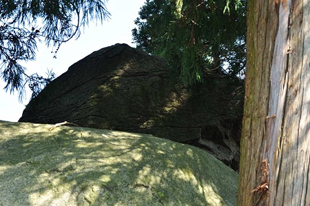 1005031440_DSC_3666