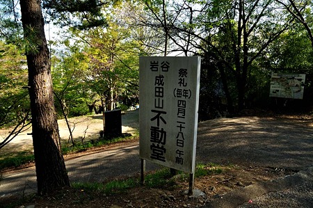 1005031546_DSC_3808