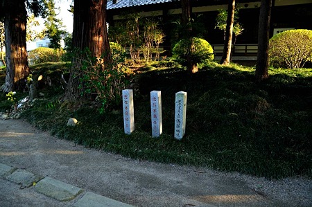 1005031715_DSC_4103