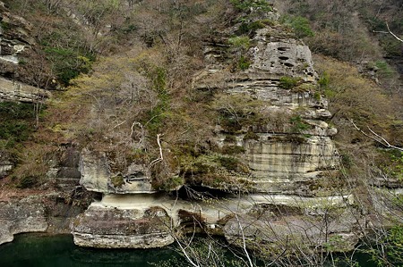 1005041519_DSC_4704