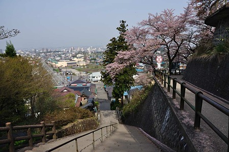 1005050814_DSC_4951