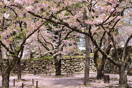 1005051212_DSC_5523