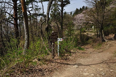 1005051316_DSC_5603