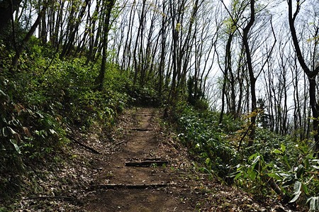 1005051410_DSC_5670