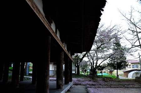 1005051709_DSC_5982
