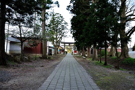 1005051719_DSC_6049