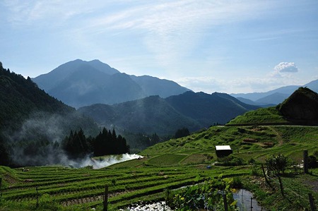 1009181449_DSC_0551