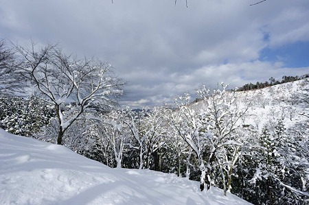 1101011210_DSC_6172