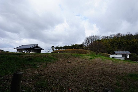 1101021121_DSC_7122