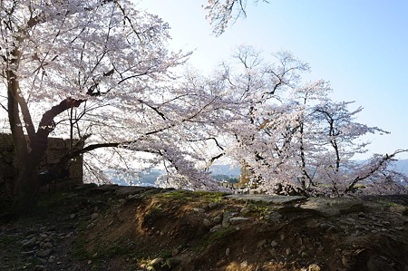 1104121704_DSC_9530