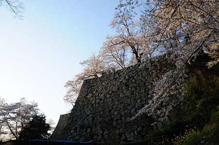 1104121750_DSC_5001
