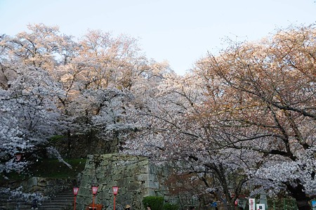 1104121757_DSC_5020
