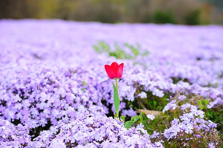 1104270952_DSC_9835