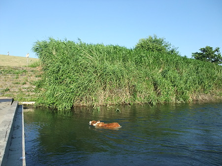 DSCF1272