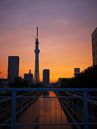 逆さスカイツリー 夕焼け 撮影スポット お土産 画像満載ホテルレビュー 楽天ブログ