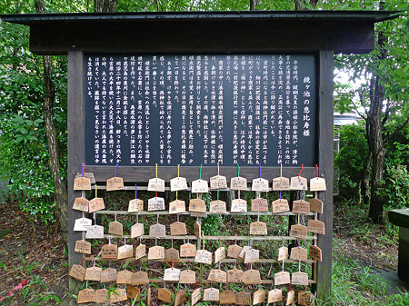 鏡ヶ池(5)