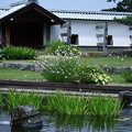 金沢城　庭園