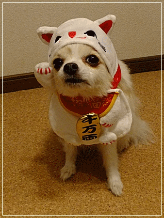 優しい